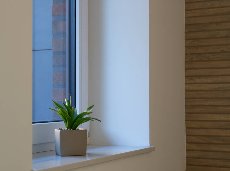 Detailbild Fensterbank im Gäste-WC mit einer kleinen Pflanze