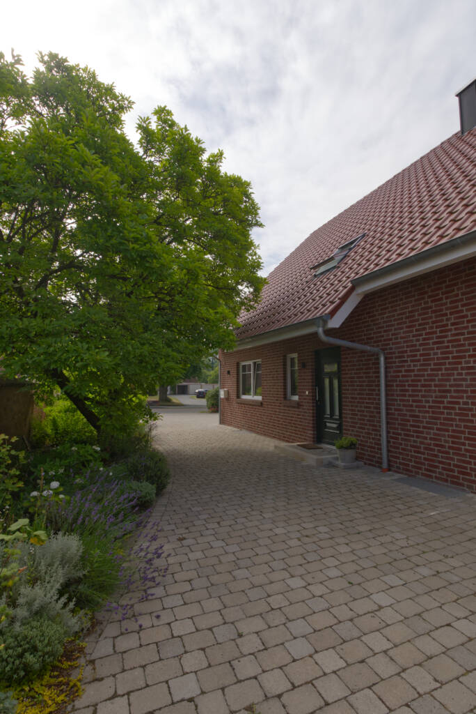Einfahrt zu einem Haus mit Baum